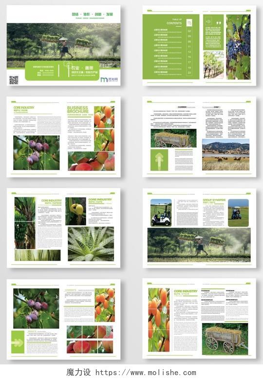 清新简约绿色水果蔬菜农产品宣传画册